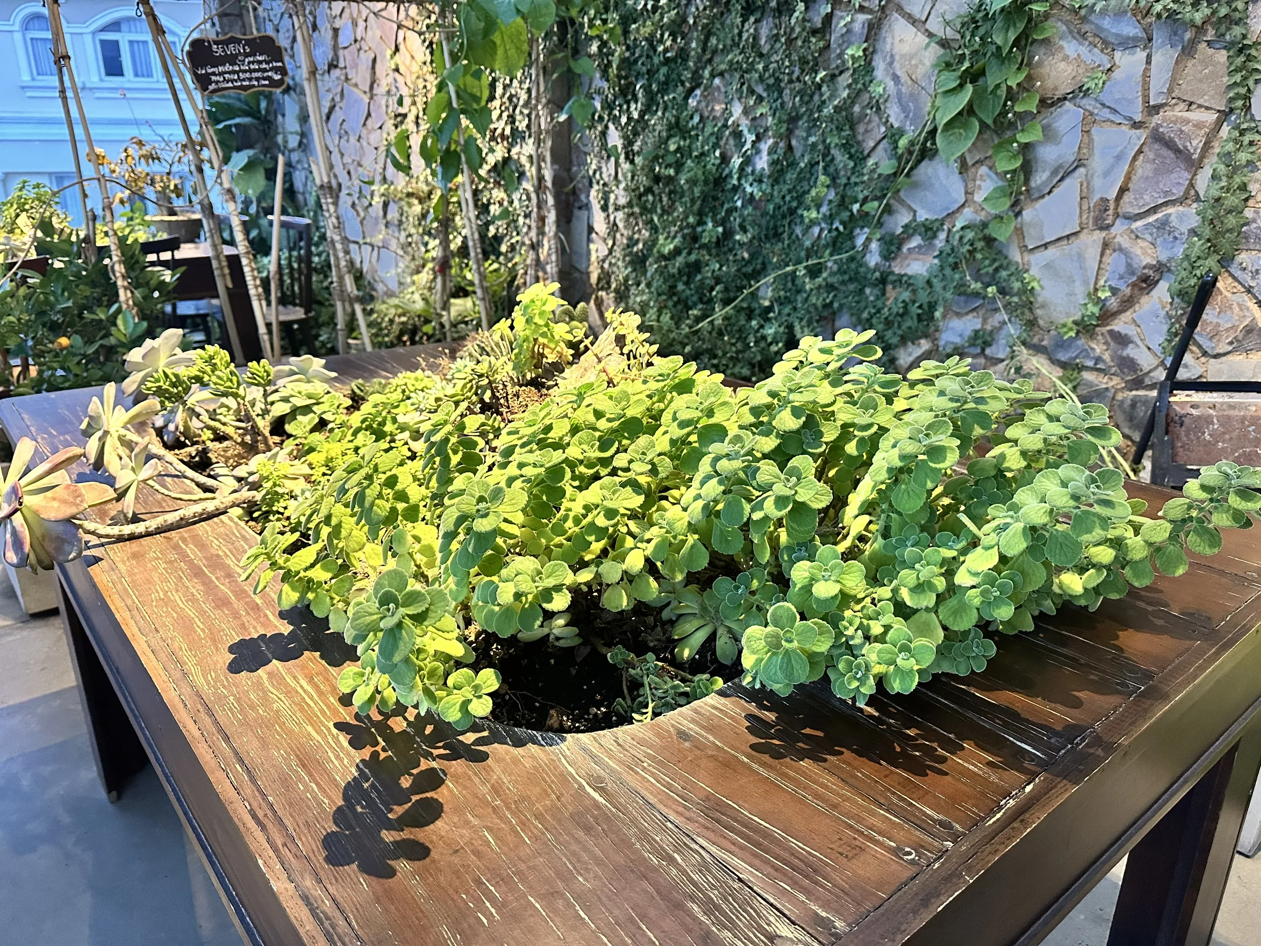 Không gian Monical Bistro rooftop Đà Lạt
